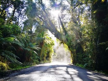 Road amidst trees against sky