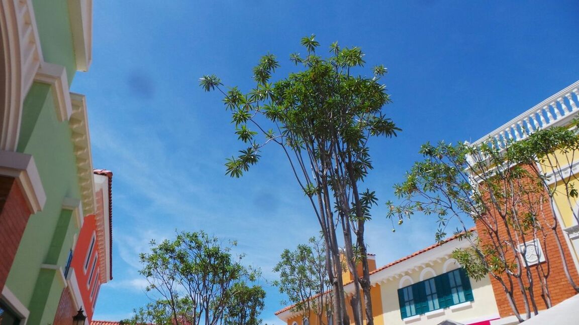 architecture, building exterior, built structure, low angle view, tree, blue, residential building, house, sky, residential structure, building, growth, city, outdoors, day, sunlight, clear sky, no people, window, balcony