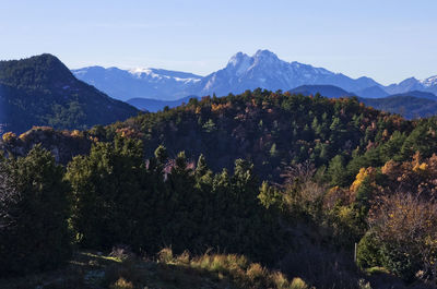 Low angle view of trees and mountains against sky