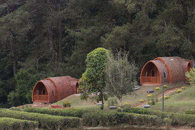 Traditional huts, trees on field