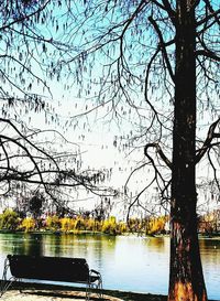 Reflection of trees in lake