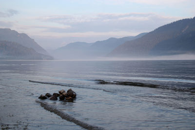 Teletskoe lake, altay