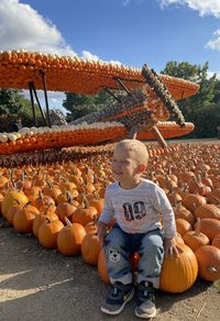 Portrait of boy standing by pumpkins