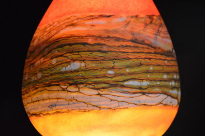 Close-up of orange lizard against black background