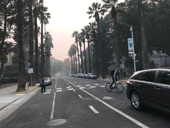 Vehicles on road against trees and city