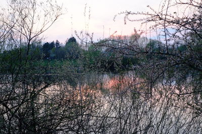 Scenic view of lake in forest against sky