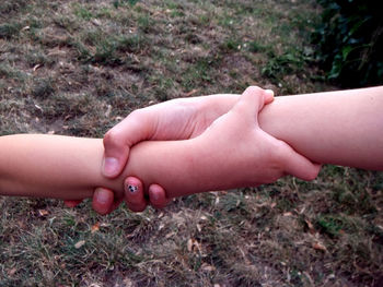 Close-up of hand holding hands on field