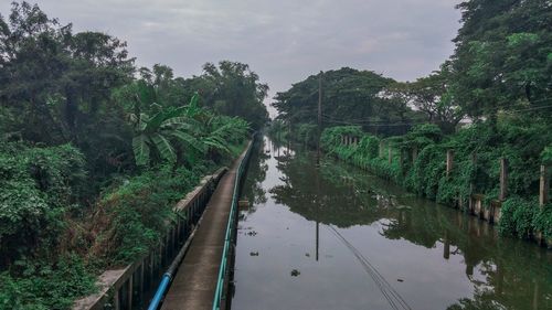 High angle view of river amidst trees against sky