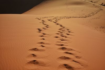 High angle view of footprints on sand dune