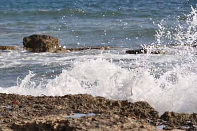 Scenic view of beach