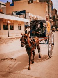 Horse cart on street