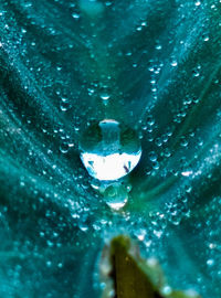 Full frame shot of wet blue metal