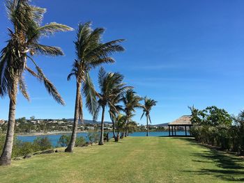 Scenic view of palm trees against clear blue sky