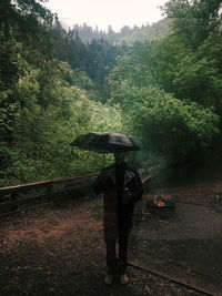nature