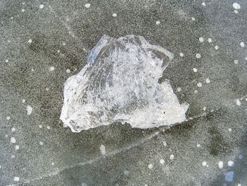 High angle view of ice on land