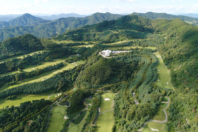 High angle view of trees on landscape