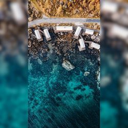 High angle view of turtle in sea