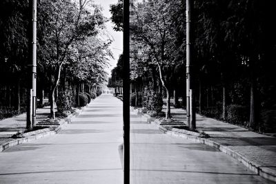 Footpath leading towards trees