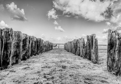 Panoramic shot of wooden posts on landscape against sky