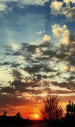 Low angle view of silhouette trees against sky during sunset