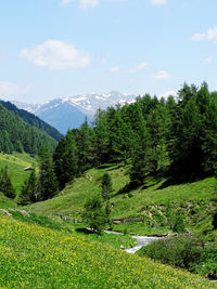 Scenic view of trees and mountains against sky