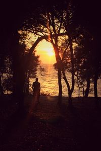 Silhouette man standing by tree against sky during sunset