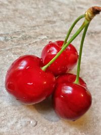 Close-up of red berries in water