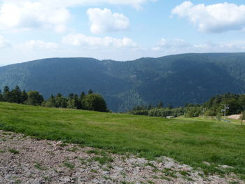 Scenic view of field against sky