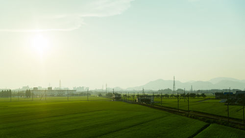 Agricultural land with electricity pylons against sky