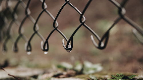 Close-up of chainlink fence