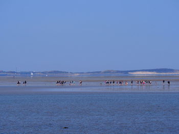 Group of people on beach against clear sky