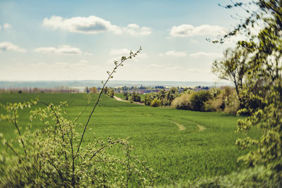 Scenic view of landscape against cloudy sky