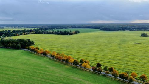 Scenic view of green landscape against sky