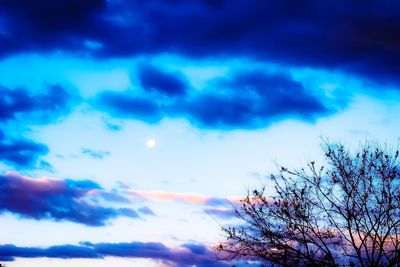 Low angle view of silhouette trees against blue sky