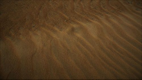 Full frame shot of sand dune