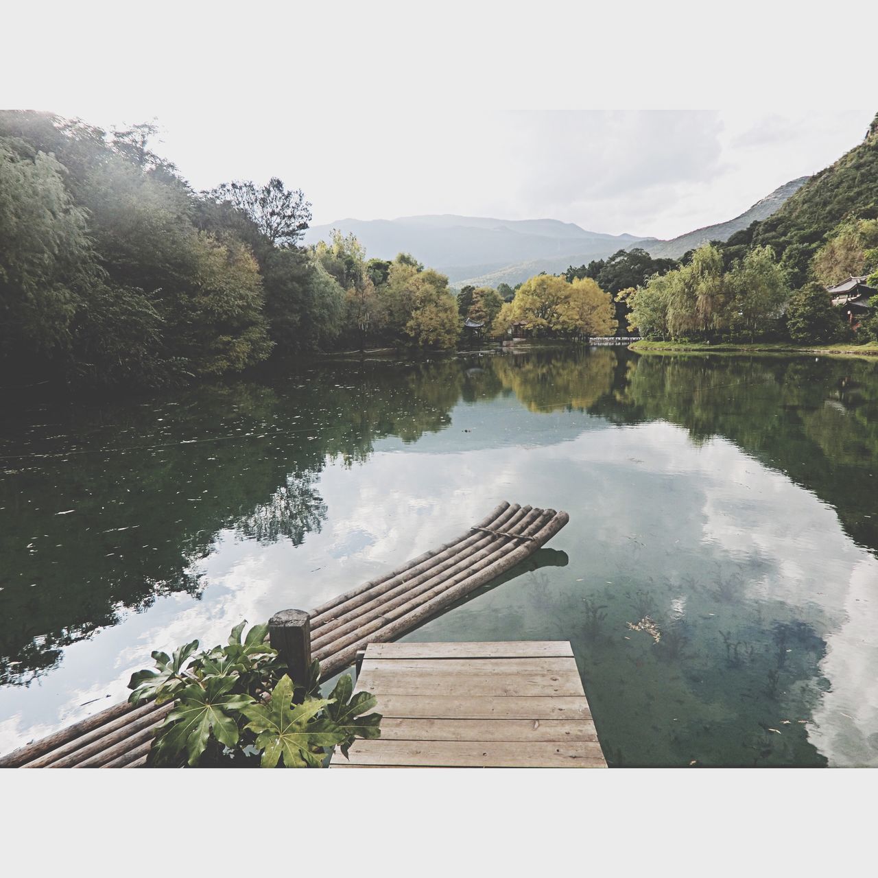 water, lake, reflection, tranquility, tree, tranquil scene, sky, scenics, nature, beauty in nature, railing, pier, river, mountain, day, wood - material, idyllic, outdoors, standing water, built structure