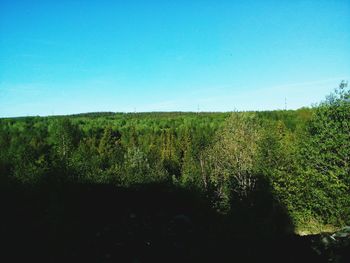 Scenic view of field against clear blue sky