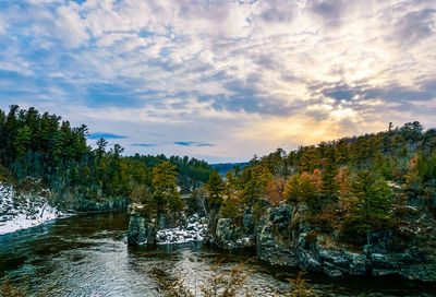 Scenic view of river amidst trees against sky