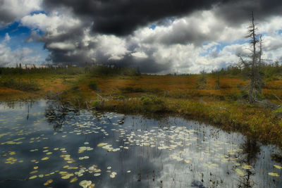 Scenic view of lake against sky