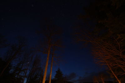 Low angle view of silhouette trees against sky at night