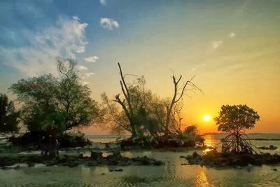 Scenic view of lake at sunset