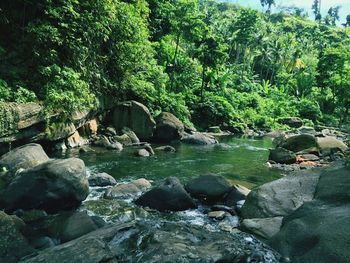 Stream flowing through rocks