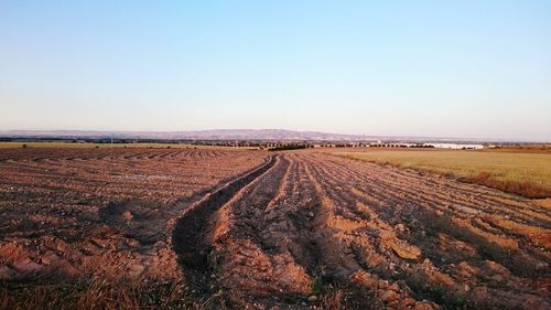 Scenic view of agricultural field against clear sky