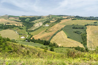 Scenic view of agricultural field against sky