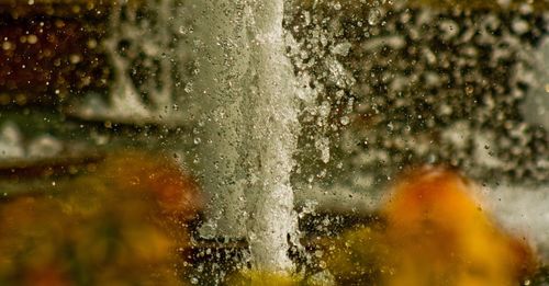 Close-up of water drops