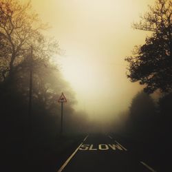 Road in foggy weather