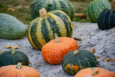 Close-up of pumpkin