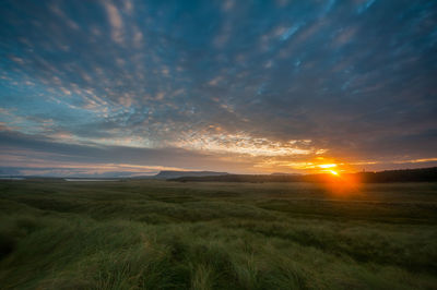 Scenic view of field against sky during sunset