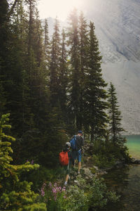 Rear view of father and son with backpacks hiking in forest against mountains