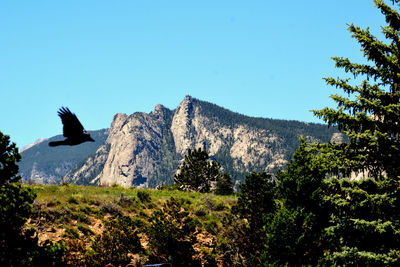Bird flying over mountain against clear blue sky